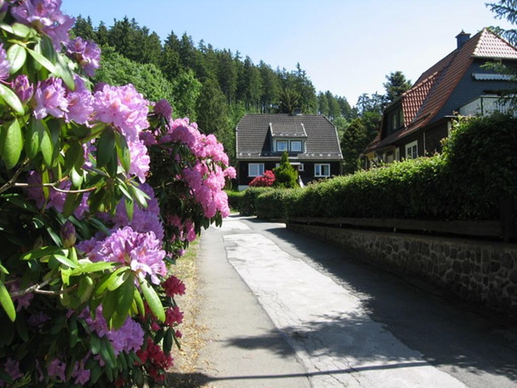 Vakantiehuis Ibu Altenau  Camera foto